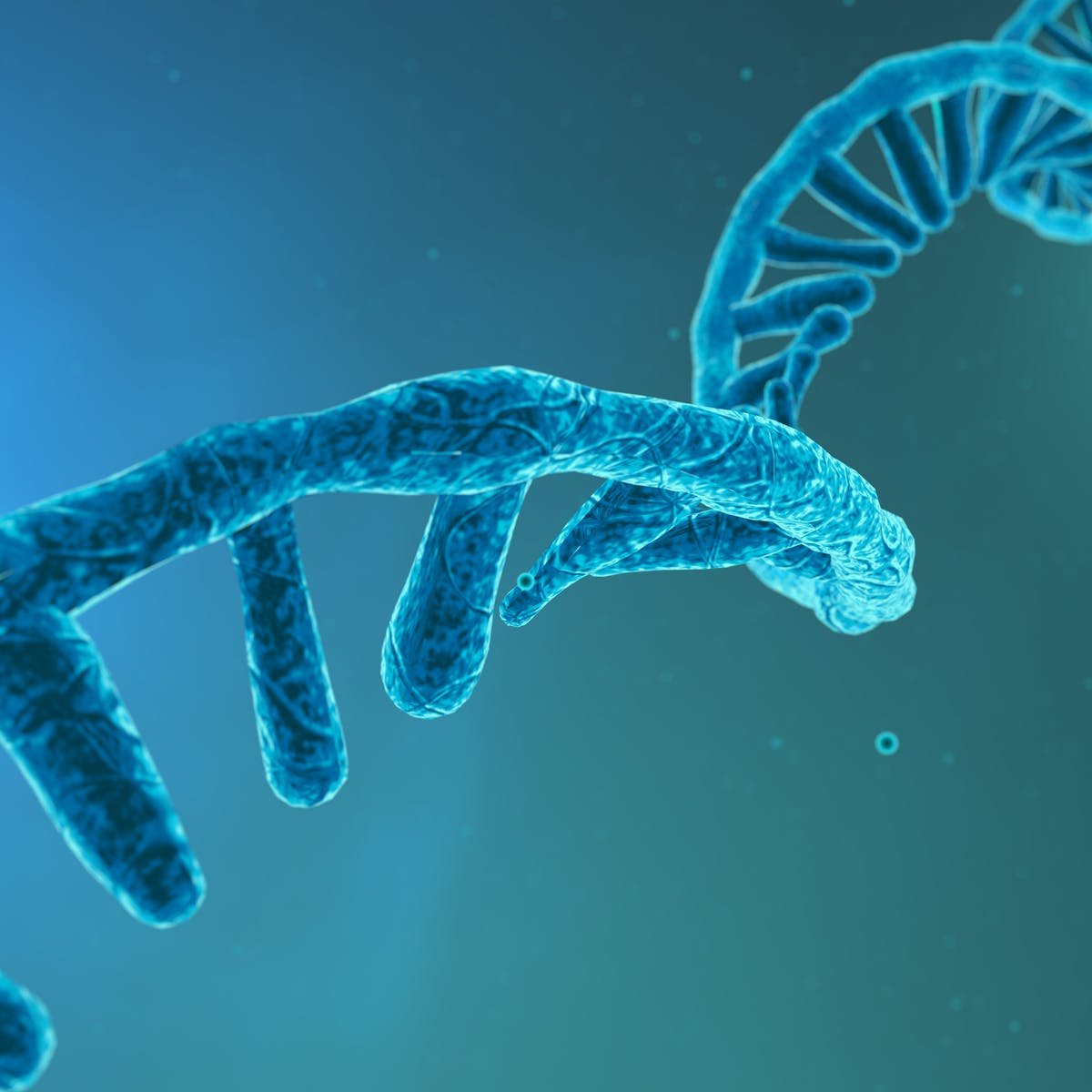 تقنية الحمض النووي الريبي